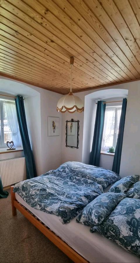 Turmhaus Trieben Wohnung 1 المظهر الخارجي الصورة